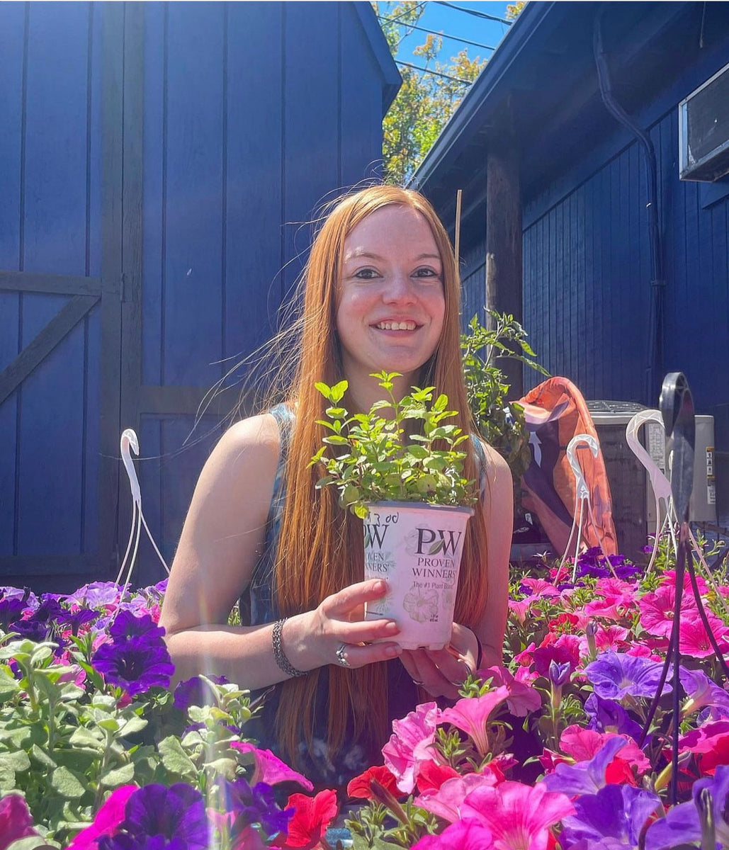 Crystal & Stone Creations by Myra Menzer Coexist Gallery