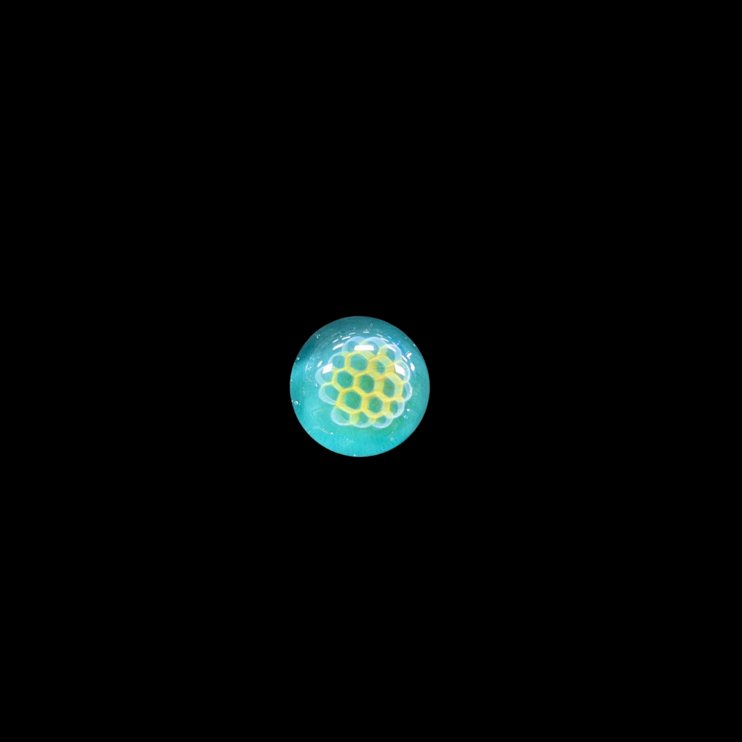 MTPGlass Honeycomb Pin – Coexist Gallery
