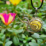 Yellow Marble Snail