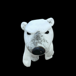 Malaquais Polar Bear